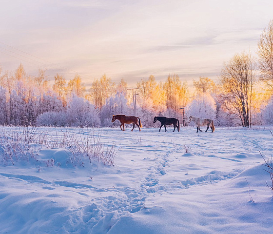 Horse riding